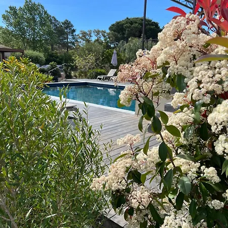 Les Jardins Sta Giulia Avec Piscine Hotel Porto-Vecchio (Corsica)