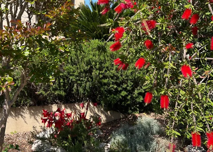 Les Jardins Sta Giulia Avec Piscine *