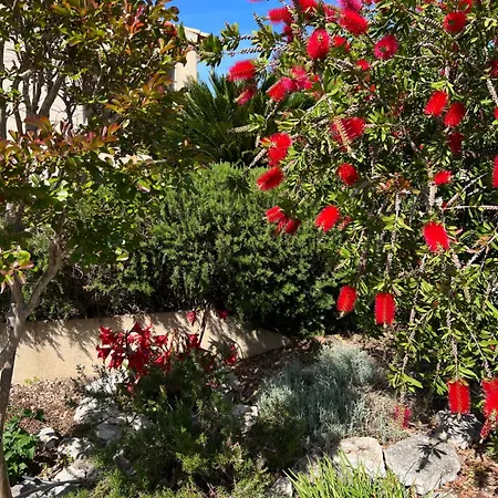 Les Jardins Sta Giulia Avec Piscine *
