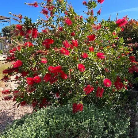 Les Jardins Sta Giulia Avec Piscine Porto-Vecchio (Corsica)