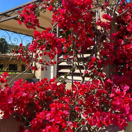 Hotel Les Jardins Sta Giulia Avec Piscine