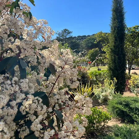 Les Jardins Sta Giulia Avec Piscine Hotel *