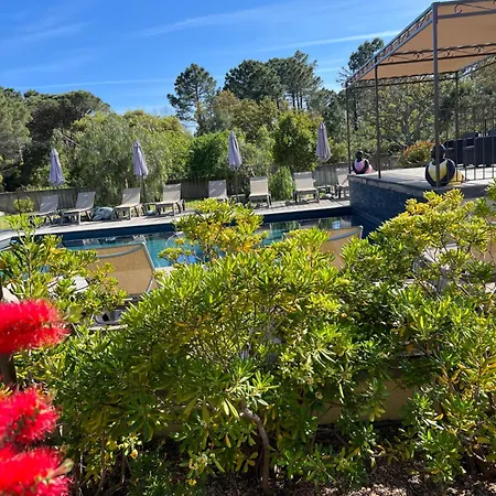 Les Jardins Sta Giulia Avec Piscine